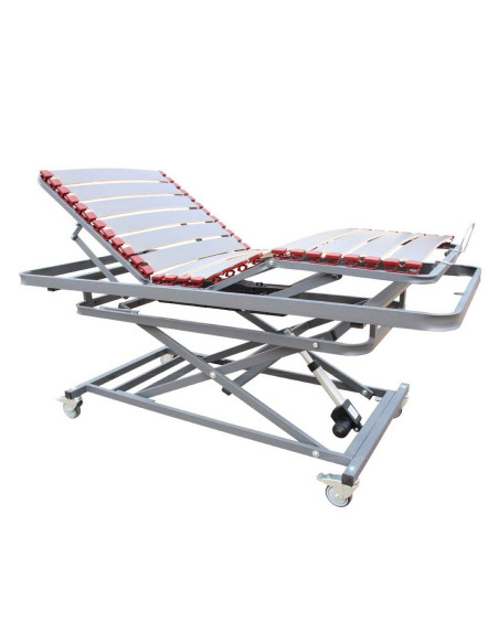 Cama articulada con carro elevador ORION X